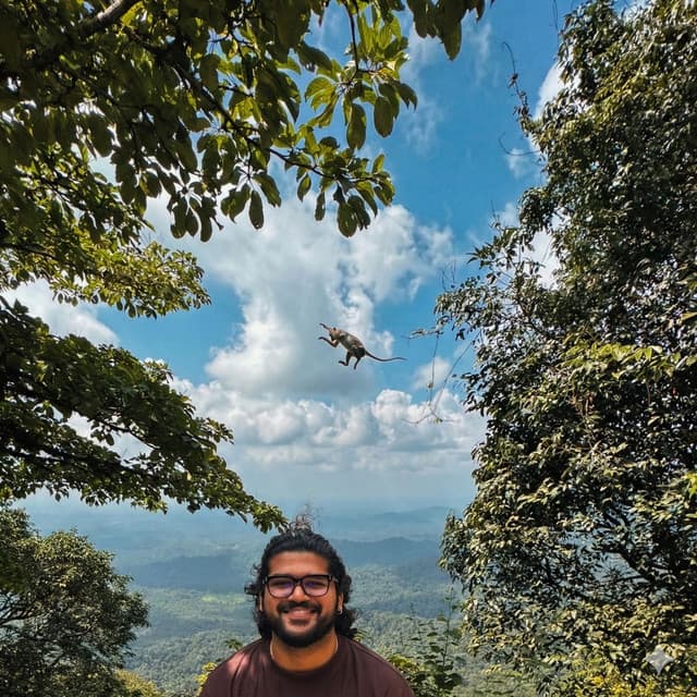 Zimmedari cover art